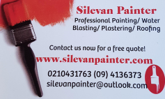 Silevan Painter logo