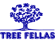 Tree Fellas Ltd logo