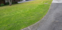 Double trimmed edging by Ampertaine Garden Services Ltd