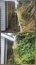major sort out Tawa - Very overgrown & now some air space behind the flats.