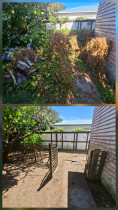 Waiwhetu - Years of neglect, now some space