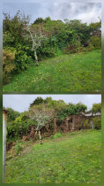 Tawa, trying to locate an old fence line