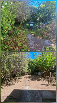 waiwhetu - Oh look a path & more space