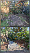 Silverstream - How to change a gardens look