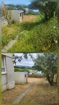 Waitangirua - A major section clean up, Chest high growth....been left a bit too long