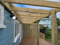 Petone Outdoor area - Part of a larger full reclad/renovation project