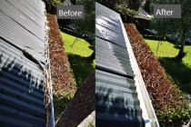 Gutter Clean - Cleanse Right Gutter Clean Mt Albert