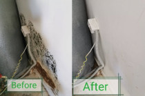 Mould Clean - Cleanse Right Mould Clean in Glenfield