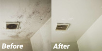 Mould Clean - Cleanse Right Mould Clean in Pt England