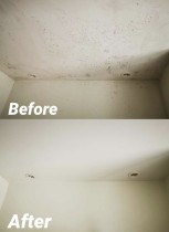 Mould Clean - Cleanse Right Mould Clean in Pt England