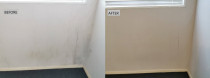 Interior Mould Clean - Cleanse Right Interior Mould Clean in Te Atatu