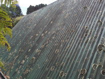 Corrugated  roof wash before cleaning by Roof Restore