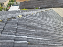 Moss Treatment - Application to a concrete tiled roof.