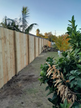 The Boundary Fence - 100x100 Posts, 100x50 rails on the other side direct fix to the posts,
150x20mm palings D.F to the rails between posts side.