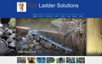 Fish Ladder Solutions - https://www.fishladdersolutions.co.nz/