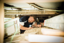 Subfloor inspection