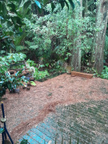 Before