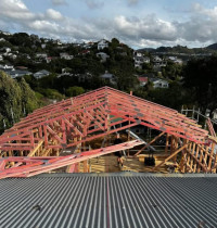 Ngaio Dreams - This ambitious addition is designed to create a spacious, open-plan kitchen and living area, seamlessly integrated with a new laundry and a dedicated office nook. The centerpiece will be a bespoke, custom-made kitchen, finished to the highest standard with meticulous attention to detail.
Architectural features will include soaring 3-metre high walls and a striking skillion ceiling that enhances the sense of luxury and space. The design will be flooded with natural light through floor-to-ceiling windows and a spectacular 5-metre wide stacking door, creating a flawless connection to the outdoors.