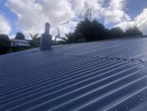 Another Roof Painting