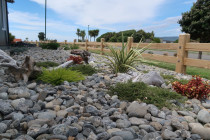 Garden with Pebble Mulch