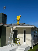 Roof wash