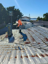 Roof wash