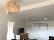 Mt Albert - Lockwood Interior completed by Profile Painters and Decorators