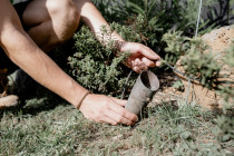 Garden Lighting - Landscape lighting design and installation