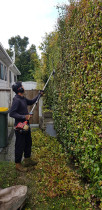 Hedge trimming call Ampertaine Garden Services Ltd