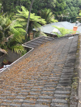 Concrete tile wash Before Roof Restore