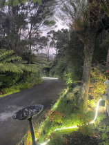 Garden Lighting - Our client’s driveway was unpractical, so we designed a smart solution that stayed within budget and delivered a great result