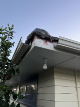 Gutter repair before