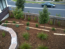 Bark Garden After A1 Sure Services