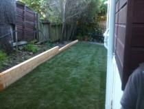 New Lawn After A1 Sure Services