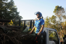 A1 Sure Services Arborist