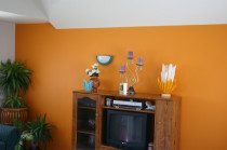 Painted feature walls by Celt Paint And Paper