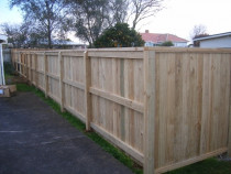 Pine boundary fence by DECKHQ