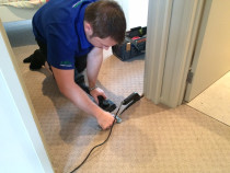 Carpet Laying and Repairs