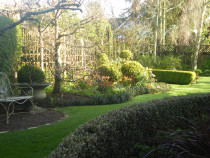 Erin Farrow Landscapes - Epsom garden