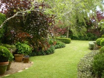 Erin Farrow Landscapes - Epsom garden