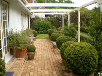 Erin Farrow Landscapes - Epsom garden