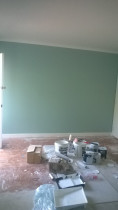 Interior Painting - Feature Wall by Silevan Painter