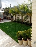 Formal layout/ Remuera Garden by Kirsten Sach Landscape Design