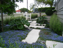 Kirsten Sach Landscape Design - Grey Lynn Garden