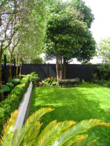 Herne Bay Garden by Kirsten Sach Landscape Design