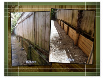 Retaining Wall - Greenhithe - Was black with mould, now looking it's best again - Revived!