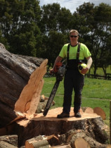 The felling of a big macky
