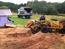 Stump grinding is the most effective way to remove stumps
