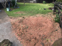 Stumpgrinding after